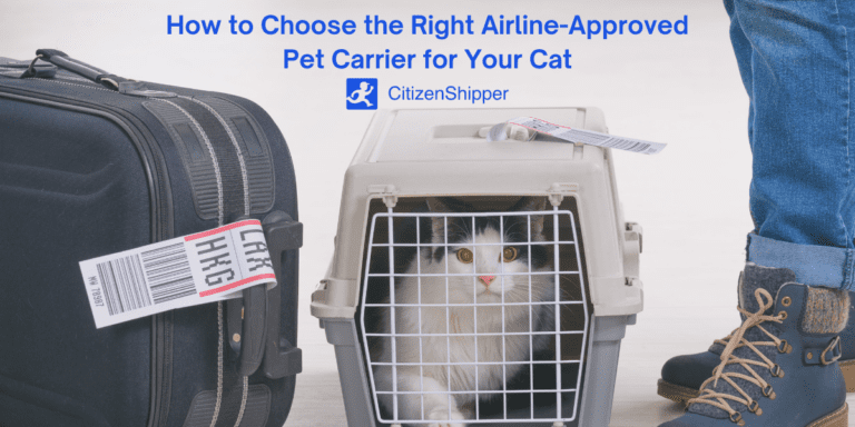 How to Choose Airline-Approved Pet Carrier: Expert Tips