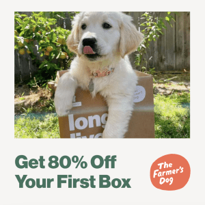 Golden retriever puppy in a box with text offering 80% off the first box from "The Farmer's Dog," known for the best dog food for allergies.