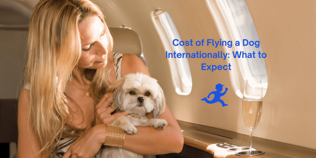 Flying a Dog Internationally What to Expect CitizenShipper Blog