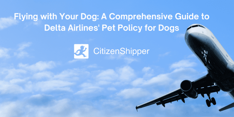 Delta cost to fashion fly dog