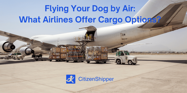 Flying Your Dog by Air in 2025: What Airlines Allow Dogs in Cargo?